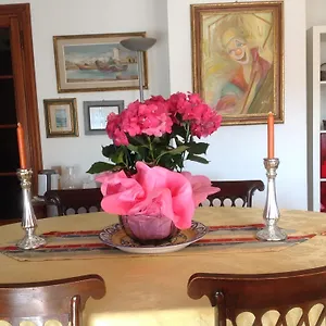 Dei Cavalieri , Pisa Italien